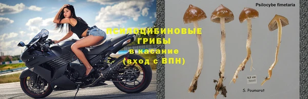 бошки Алзамай