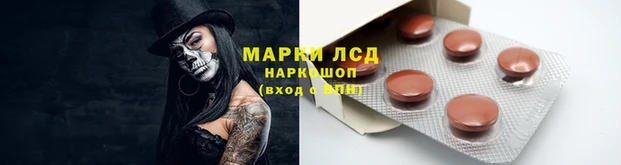 сатива Алексин