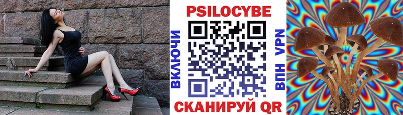 Псилоцибиновые грибы прущие грибы Гурьевск