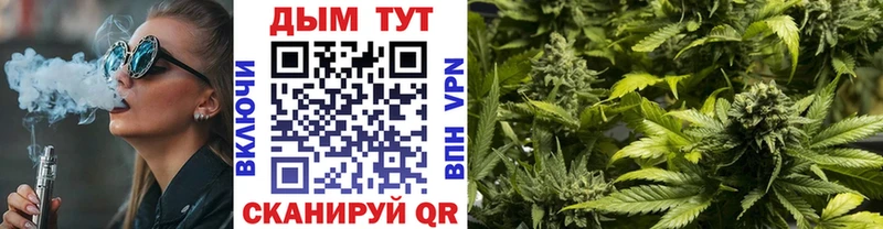 Канабис OG Kush Гурьевск